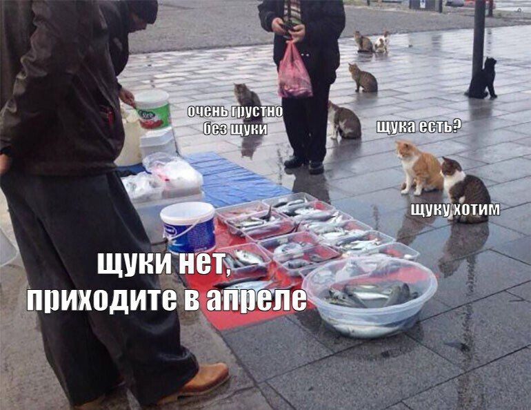 � ��������������� ������� � 1 ����� ����� ����������� ������ ������������ ������� �� ����