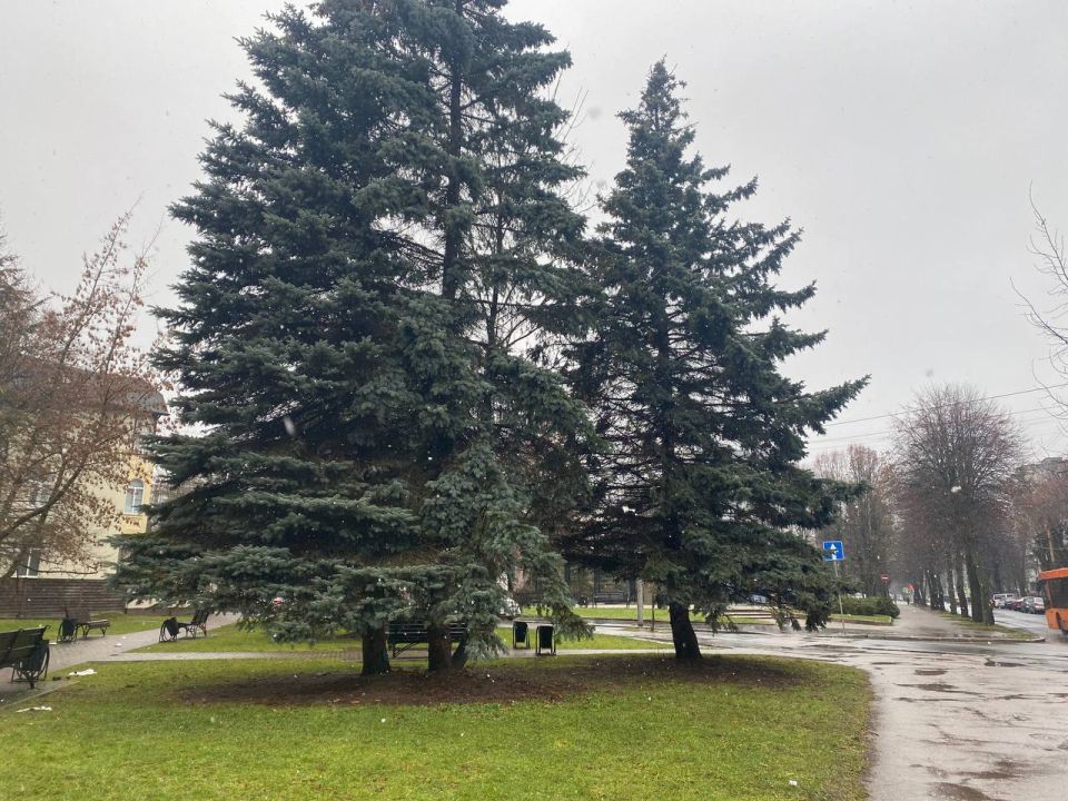 ��������� ������������ ������ ���������� � ��������������� ������� � ��������� ������� ����