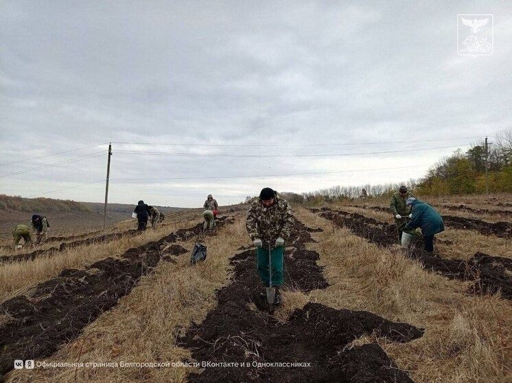 � ������������ ������ �������� ������ � ������ �������������� �����