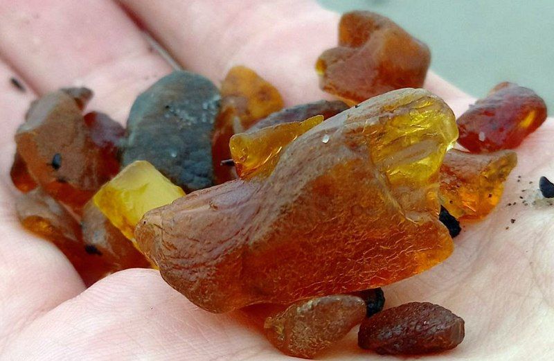 ��������������� ������� ��������� � �������� �������� ������