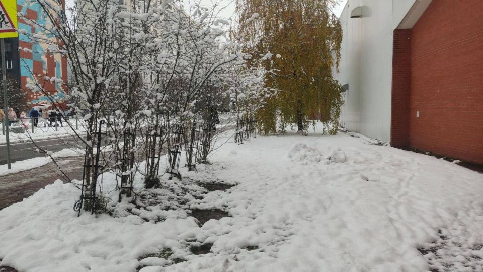 � ������������ ������ �������� ������� ���������������: �������� �� ������������ ���������� ����� �������