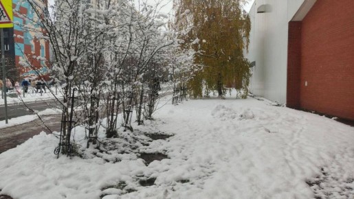 � ������������ ������ �������� ������� ���������������: �������� �� ������������ ���������� ����� �������