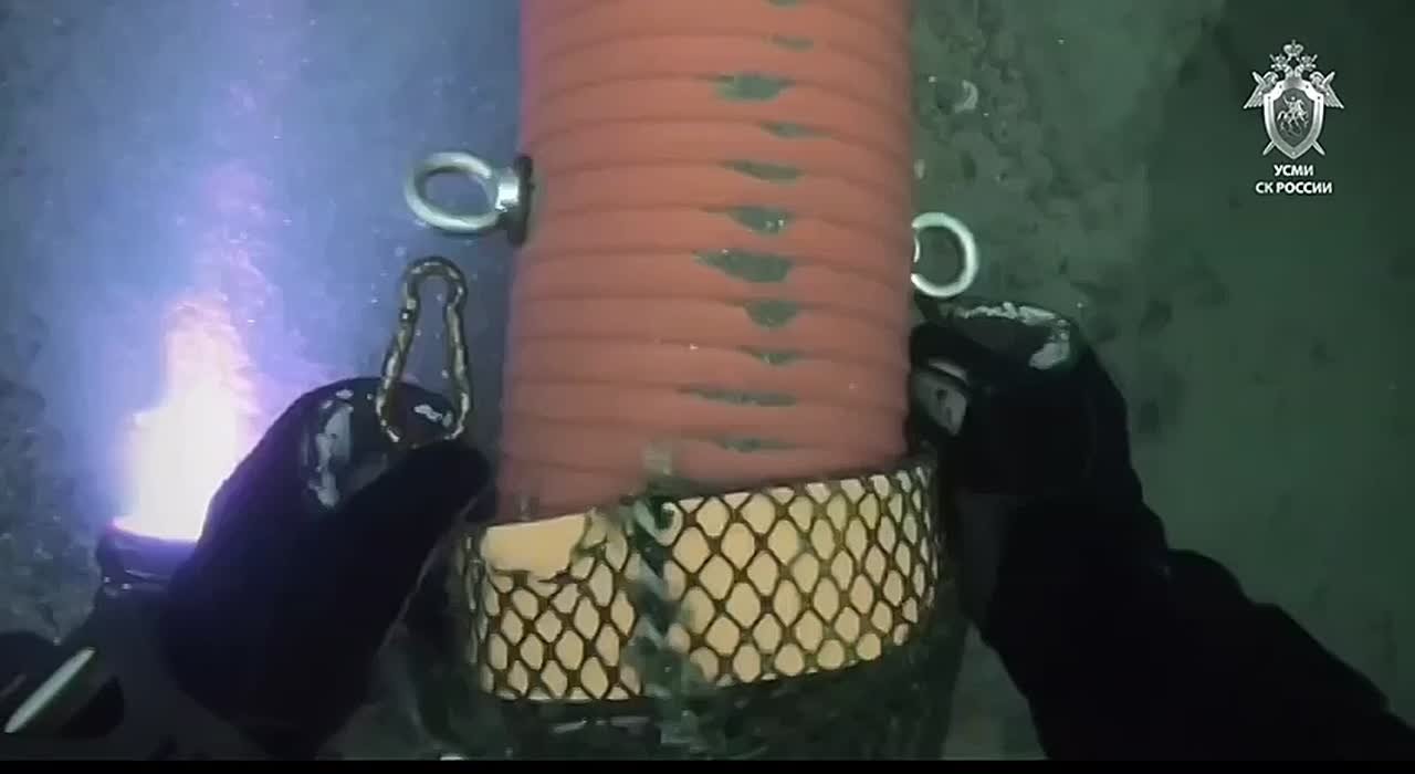 В Калининградской области завершено расследование уголовного дела в отношении десяти местных жителей в возрасте от 26 до 52 лет, обвиняемых в незаконном обороте янтаря