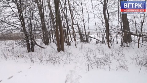 ������� � ���������� ������ �������� ���������� ����� � ��������