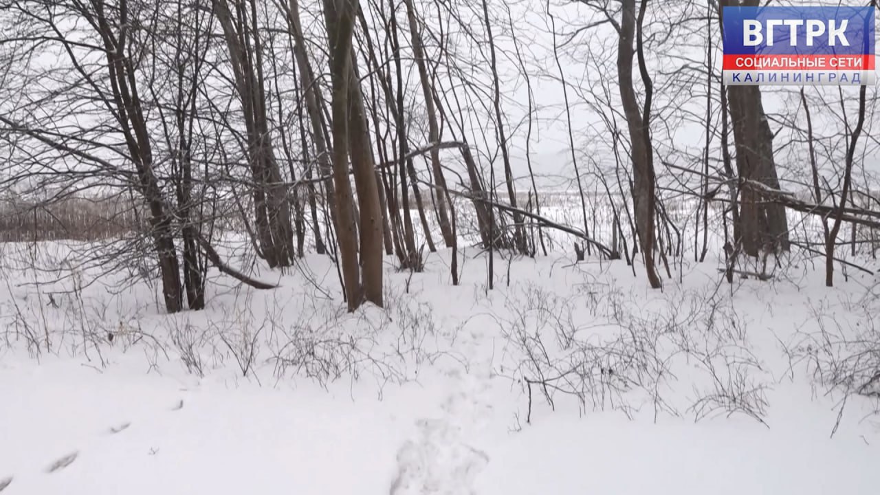 Дачники в Гурьевском округе лишились подъездных путей к участкам
