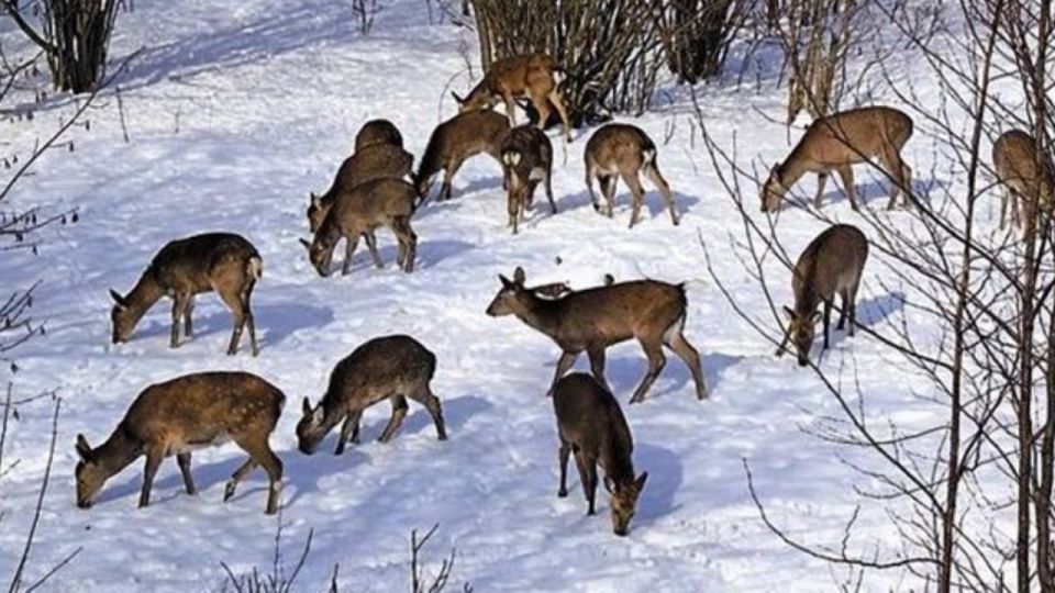 �� ���������� ������� ��������� ������� ������ � ���������� ������� ��������������� �������