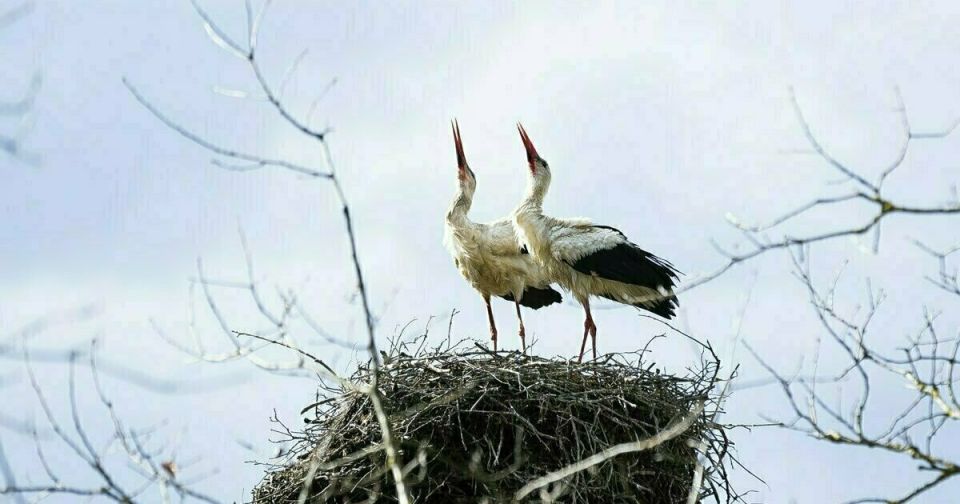 ����������� ������� ������� 160,888 ��� ������ �� ������������ ������� �� �������� ������������� ��������������