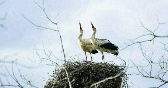 ����������� ������� ������� 160,888 ��� ������ �� ������������ ������� �� �������� ������������� ��������������