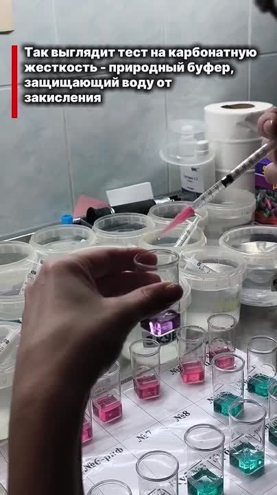 � ����� �������� ������ ����������, ��� ��������� �� �����������