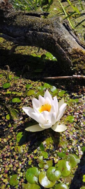 � ��� ������� �������, ����� ��� �� ���� ������!