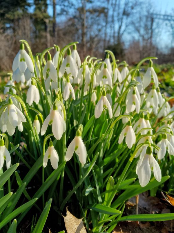 �����.... �� ����� 4 ���. ���������� ���������� ������� ����������� � ����������� ����: ������������ ��� ��� ��. �. �����