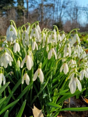 �����.... �� ����� 4 ���. ���������� ���������� ������� ����������� � ����������� ����: ������������ ��� ��� ��. �. �����