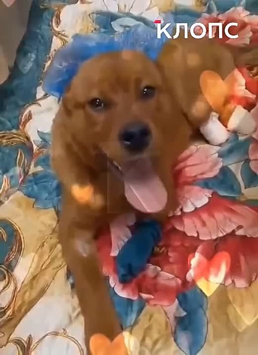 ���-�� ����� � ������ ����: �� ������� �� ����������� ������� ��� ����, �� ����� �����