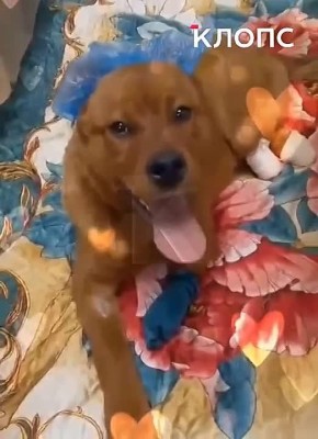 ���-�� ����� � ������ ����: �� ������� �� ����������� ������� ��� ����, �� ����� �����