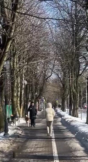 Сегодня в Калининграде идеальная погода: тепло, солнечно, поют птицы