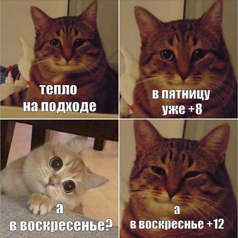 ������� � 11 ������� 2025 ����