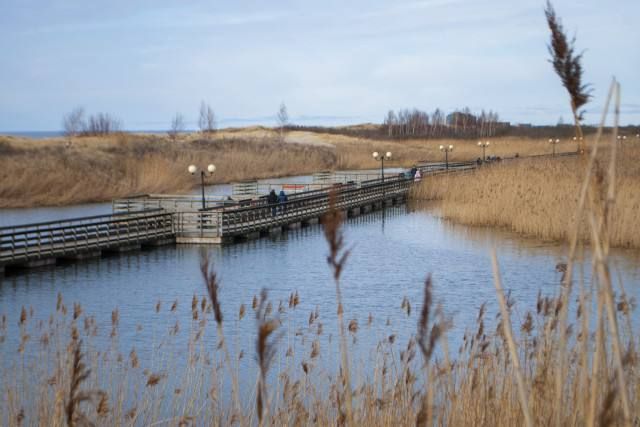 �� ����������� ������ ��������� � �������� �������� 3,8 �������� ������