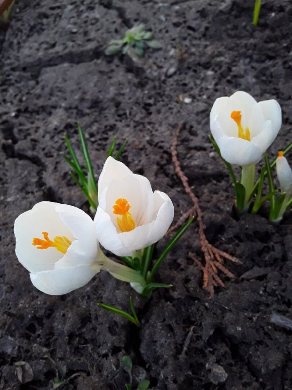 ����������� ���: ��� ������� �������� ��� � ������ ������� �� ���������� ����� ������