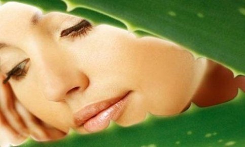 ������������ ���� �� ���������� �����: ������� � �������