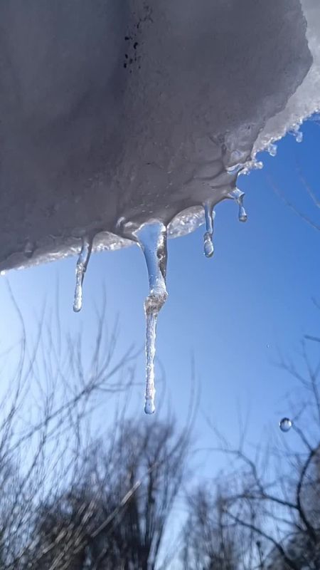 ������� ������ � ��������� � ��� ����� ������ ����������