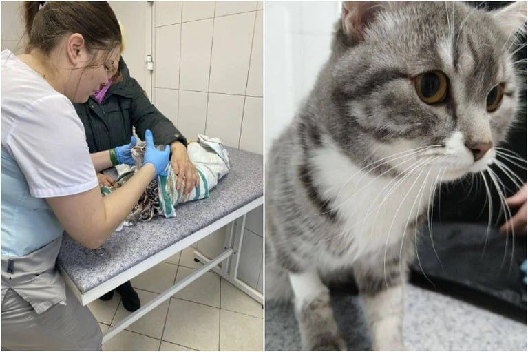 � ������ ���������� ������� ������ ����, ������� �������� �������� � ���������� ������ ������ � �����