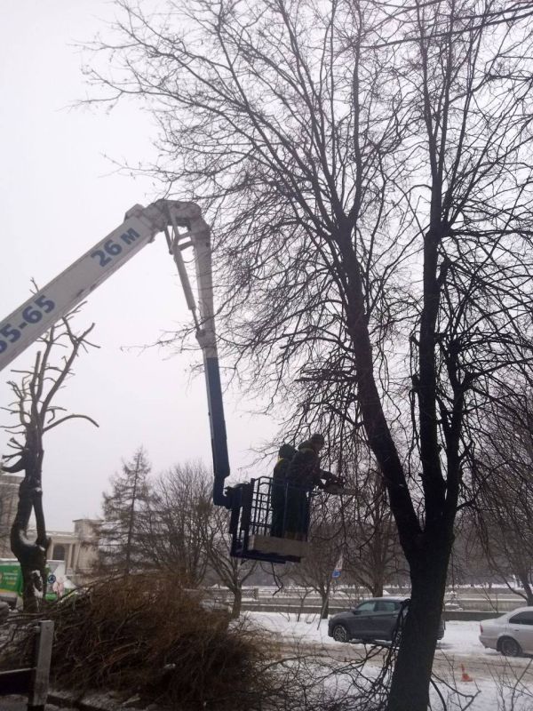 ����� �������: �������� ������� ��������. ������ ��� ����� �������� ������������� �����