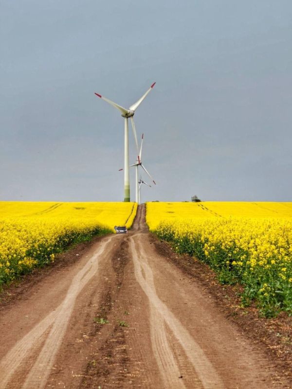 ��� ��� ������� ������� � ������ ��-���������� ����� ���� � ������������?