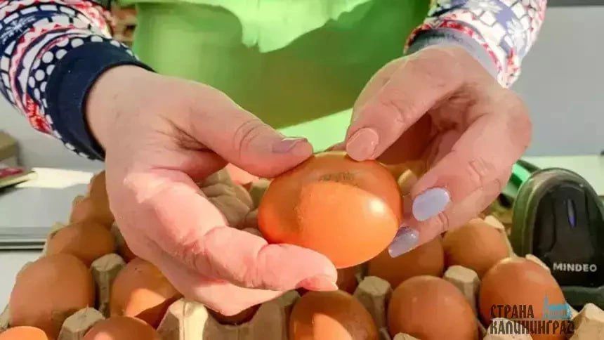 ��������������� ���� �� ��������� �����-���������� ��������� �������, ��� � ���