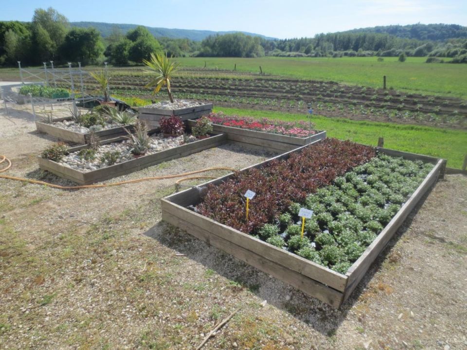 ������� ������: ������������ � ��������� �����