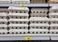 Яйца в Калининграде вылезают из орбиты нормальных цен
