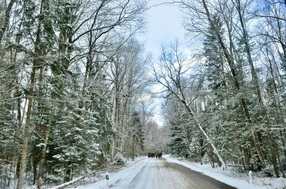 ������������ ������� �������� ���������� �������