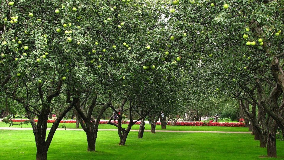 ����� ������ ������ � ����: ������� ��������� ������