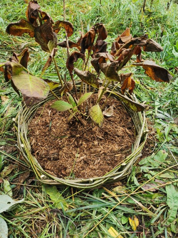 ���� ��� ����: ��� ������� ������������ �������� ������ ��� ���������