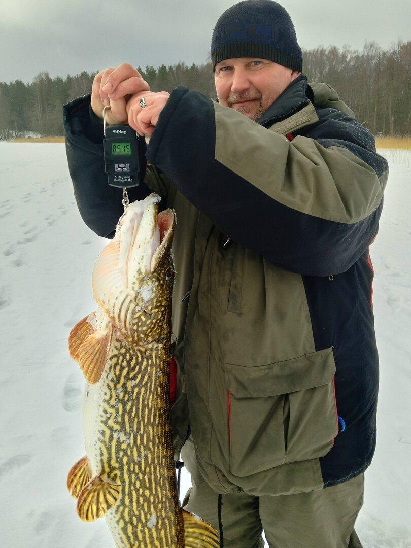 Калининградец поймал на Виштынце 9-килограммовую щуку Калининградец поймал на Виштынце 9-килограммовую щуку