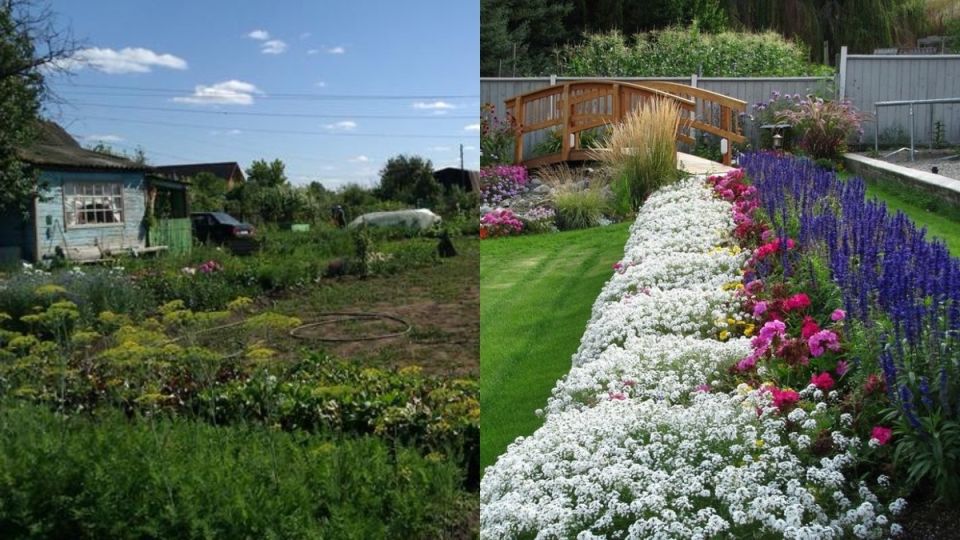 ��� ������ ������� �������� ������ ���: 7 ��������� �������� ��� ���������� �������