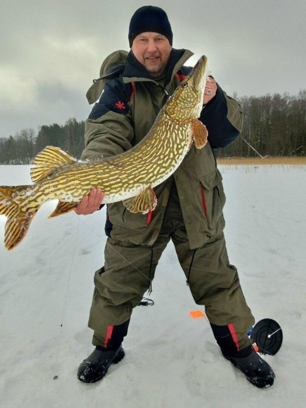 ������������� ������ �� �������� 9-������������� ����