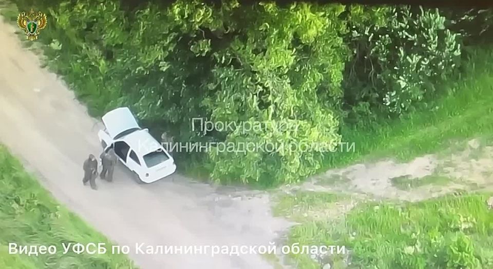 ������ ������������� ������ ����� ������ �� ���� � ���������� ������� � ���������