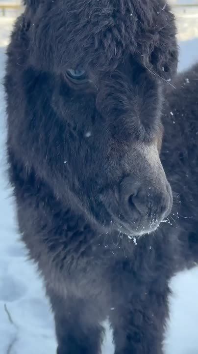 ��������������� ������� ��������� �������: ����� ��������� ���� ��������� ����, ��� �� ������������ �������� �������� ������� �������, ����-����� ������ �������� �������, ���� �������� �� ��������, �������, �������� ���� ���...