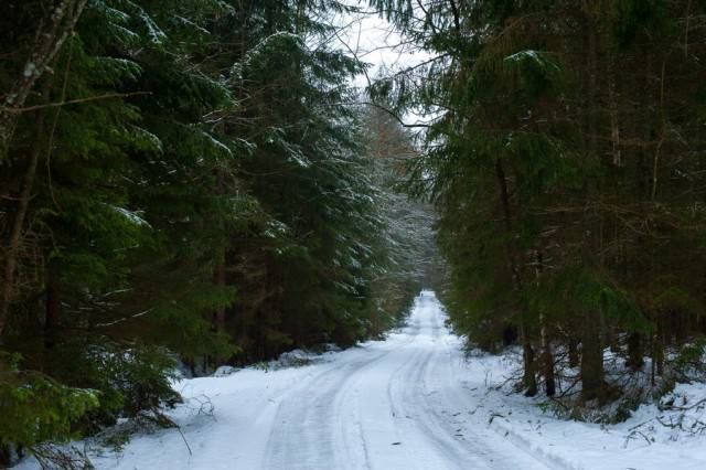 �� ������������ ������������� �������������� � ����������� �������� �������� 161 ��� ������