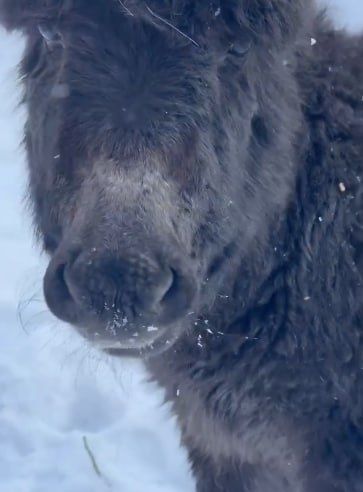 ���� ������������ ��������� ����, ��� � ������������ ���� ����� � ������ ������, �� ���� ����� ��������� ���� ���������� ������?