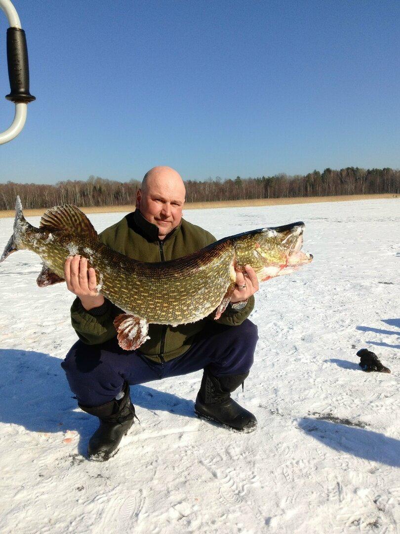 Калининградец поймал на Виштынце 9-килограммовую щуку Калининградец поймал на Виштынце 9-килограммовую щуку