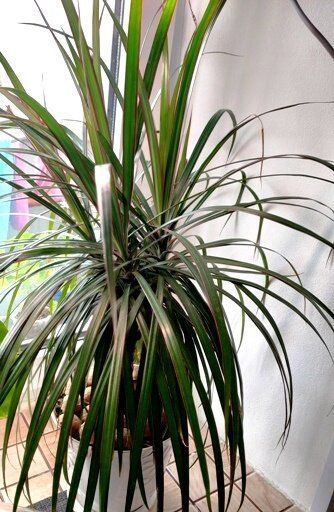 ������ ������������ �������: ��� �������� ����� �������� �� �������