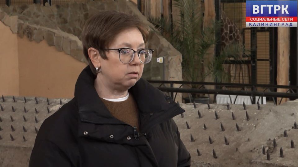 ��������������� ������� � ��� �����, ��� ������� �������� ������ ����������� � ������� ����������� �����