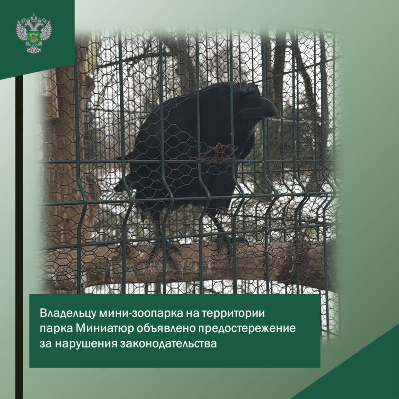 ��������� ����-��������, �������������� �� ���������� ����� ��������, ��������� ���������������