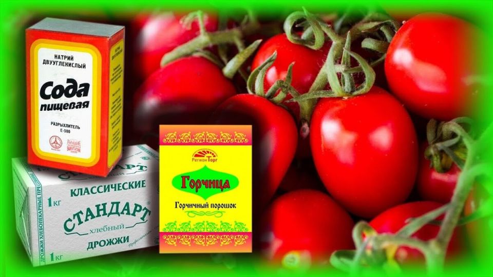 ��� �������� ������� ������������ ���� � �������� ������