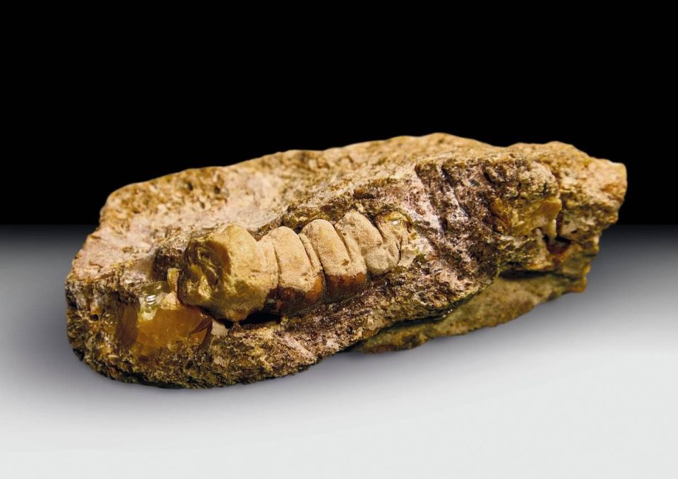 ������ ������ � ����� ������� �������� ����!