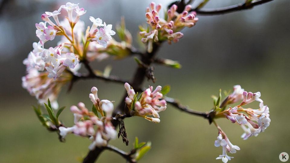 ������� ������ ����� ����� �������: ��������������� ������� ���������, ��� ��������� �� ����� �� ����� ��������