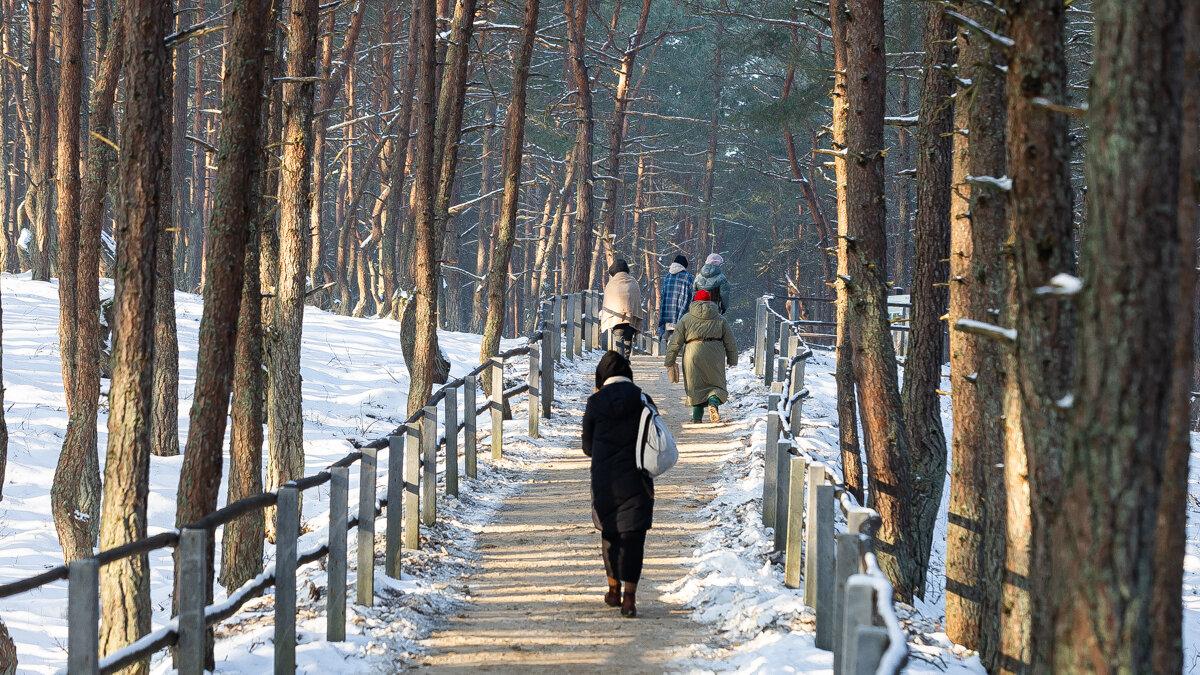 На Куршской косе после двухнедельного перерыва, связанного с морозами и снегопадами, вновь приглашают гулять по экотропам