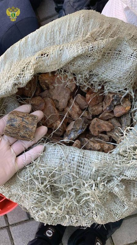 ����������� ����������� �� �������� ����� ���������� ���� �������������� � ������ ��������� ���������� � ���������� �������� ������