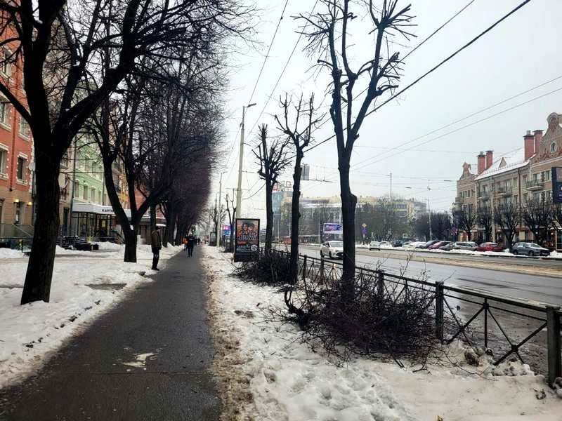 ������� ��������� ����������� ��� 120 ��������